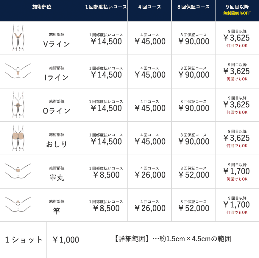 陰部脱毛の料金表